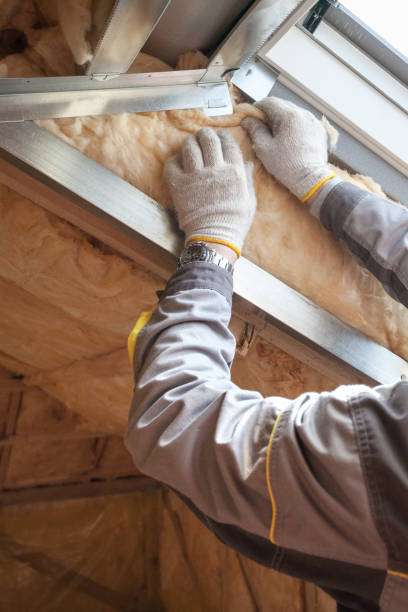 Best Insulation Replacement Services  in Hughesville, PA